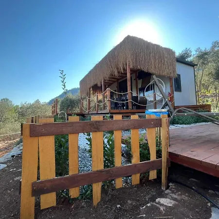 Lovin Goecek Tiny House Butterfly 샬레